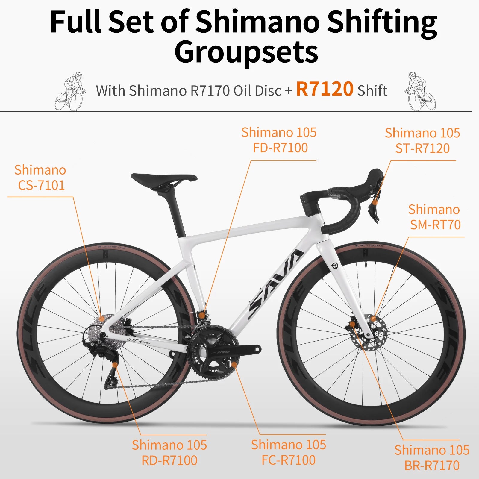 SAVA F20 Carbon Fiber Road Bike, Equipped with 105 R7120 24-Speed Groupset and Hydraulic Disc Brakes Adult Race Bike